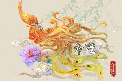 双人合盘详解紫微,紫微元贞排盘,紫薇斗术排盘,紫薇八字免费排盘